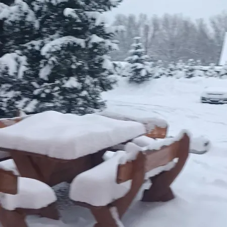 Dompodkasztanem شكلارسكا بوريبا